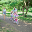 Huffy Детски велосипед 12" PRINCESS (2-4 год) 22494W от Пакостник