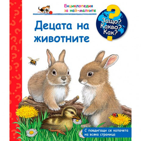 Fiut (Фют) Why? What? How? (2-7 years) from Pakostnik