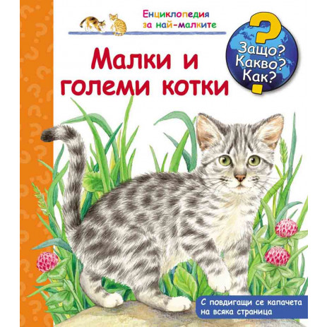Fiut (Фют) Why? What? How? (2-6 years) from Pakostnik