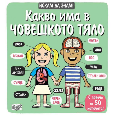 Fiut (Фют) ИСКАМ ДА ЗНАМ! Какво има в човешкото тяло (3-6 год) 2251 from Pakostnik
