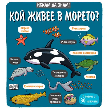 Fiut (Фют) ИСКАМ ДА ЗНАМ! Кой живее в морето? (3-6 год) from Pakostnik