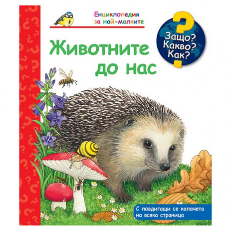 Fiut (Фют) Why? What? How? (2-6 years) from Pakostnik