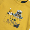 Chicco Long-sleeved blouse (68,74,80,86,92 cm) Yellow 02691 from Pakostnik