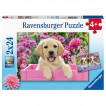 Ravensburger Puzzle 2 x 24pc Puppy from Pakostnik