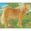 Ravensburger Puzzle-cubes Animals 12pc from Pakostnik