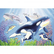 Ravensburger Puzzle Underwater World 2 x 24pc from Pakostnik