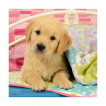 Ravensburger Puzzle Puppies 3 x 49pc from Pakostnik