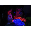 Cloud B Night projection lamp Cola Twilight Carz ™ Pink hearts from Pakostnik