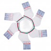 Perfetti Bambini Children Socks BG 6 pcs from Pakostnik