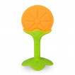 Kaichi Teether FRUITY WOOD 3m+ K999-510C from Pakostnik