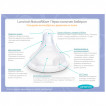 Lansinoh Bottles with pacifier NaturalWave 1pc. x 160 ml. and 1pc. x 240 ml. from Pakostnik