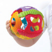 Playgro Multicolored rattle ball 6m+ Shake Rattle & Roll Ball PG.0168 from Pakostnik