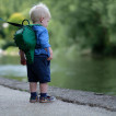 LittleLife Children backpack with occasion CROCODILE 2L L10812 from Pakostnik