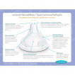 Lansinoh Baby Bottles 2 pcs 240 ml NaturalWave L-75450 from Pakostnik