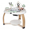 Tiny Love Black&White Décor Stationary play center 5in1 Here I Grow 6m+ TL.0315.001 from Pakostnik