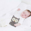 Babyjem Anti-Colic pillow with cherry stones Owl 366 from Pakostnik